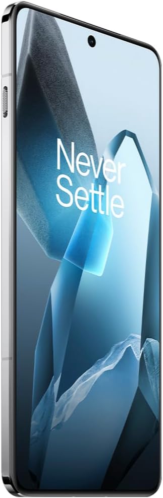 OnePlus 13 256 GB - Unlocked manufacturer media candidate